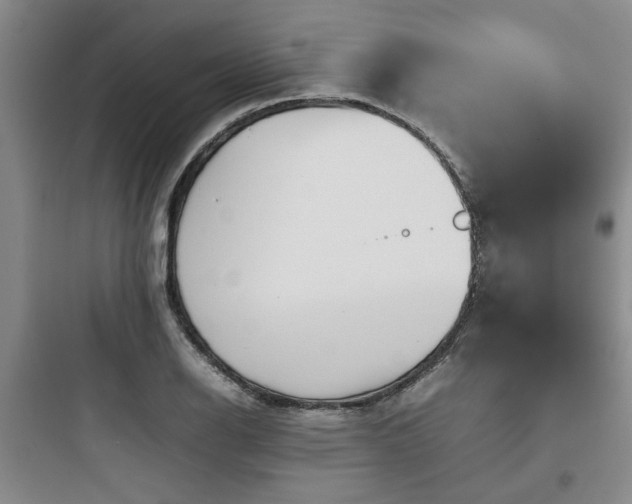 X0000097901126200803211435