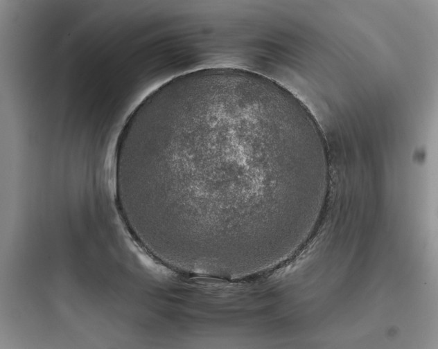 X0000097901127200803211435