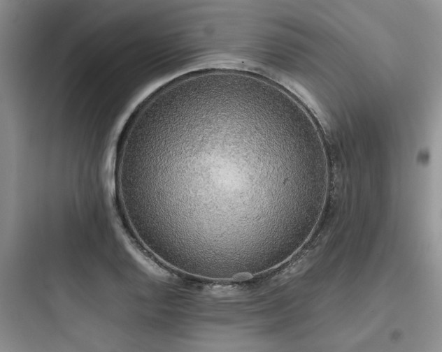 X0000097901128200803211435