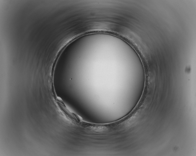 X0000097901129200803211435