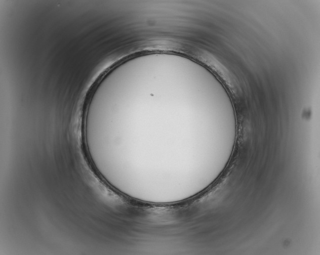 X0000097901130200803211435