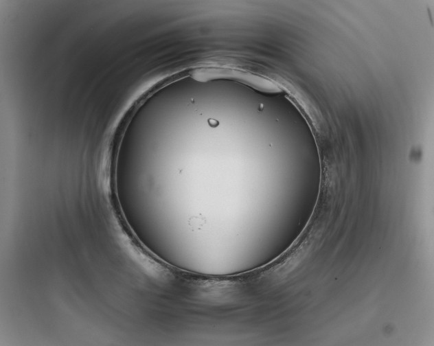 X0000097901131200803211435