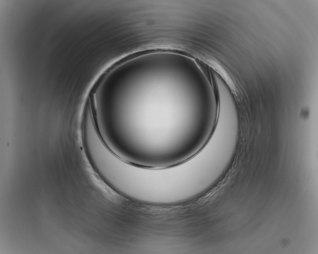 X0000097901132200803211435