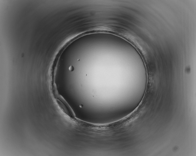 X0000097901133200803211435