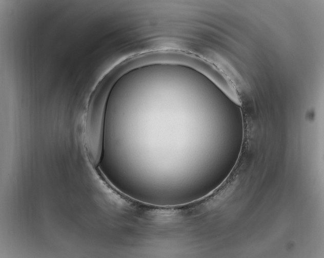 X0000097901134200803211435