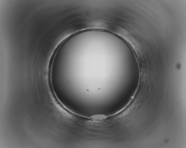 X0000097901135200803211435