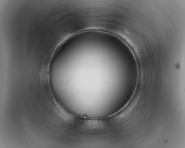 X0000097901137200803211435
