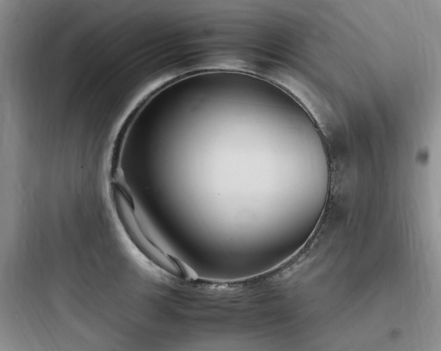 X0000097901139200803211435