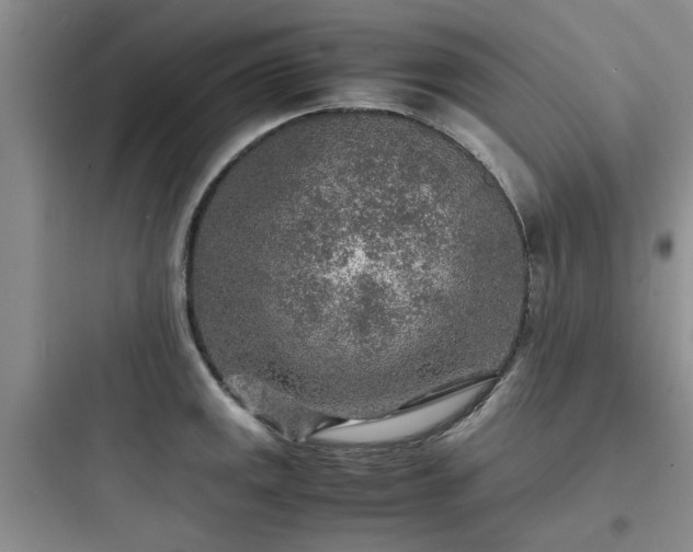 X0000097901141200803211435