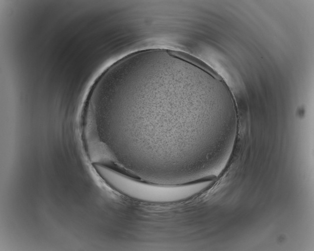 X0000097901144200803211435