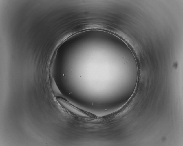 X0000097901145200803211435