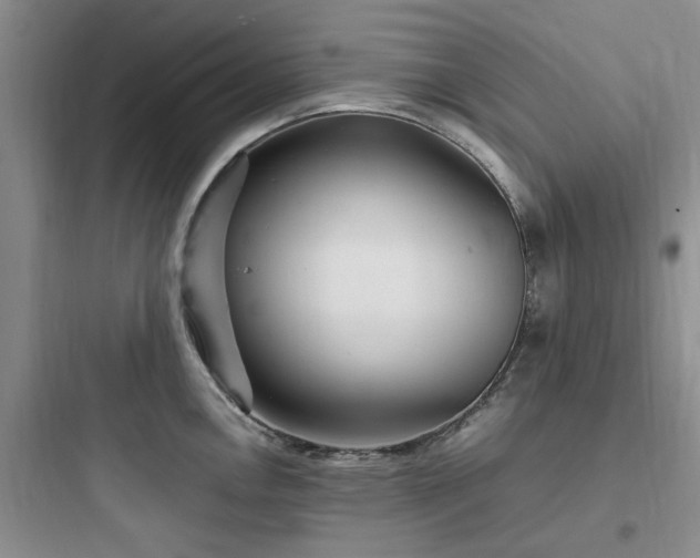 X0000097901146200803211435