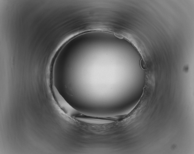 X0000097901147200803211435
