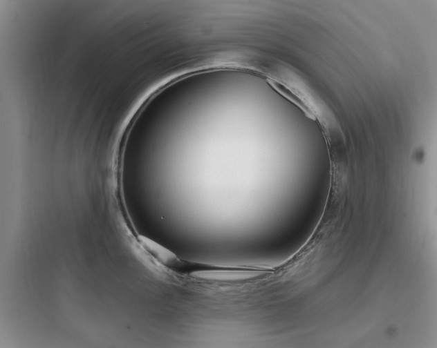 X0000097901148200803211435