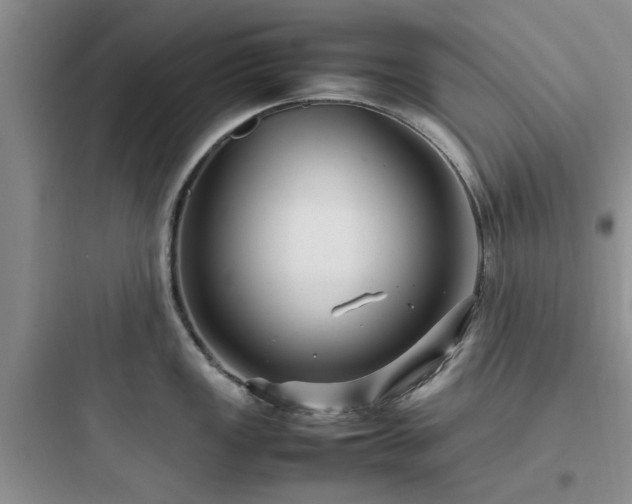X0000097901149200803211435