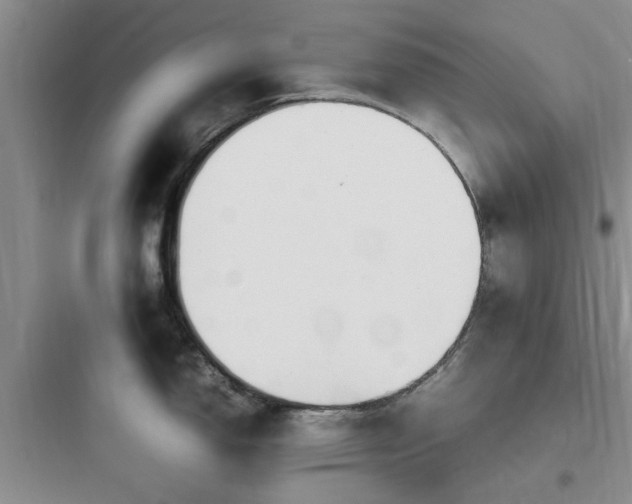 X0000097901150200803211435
