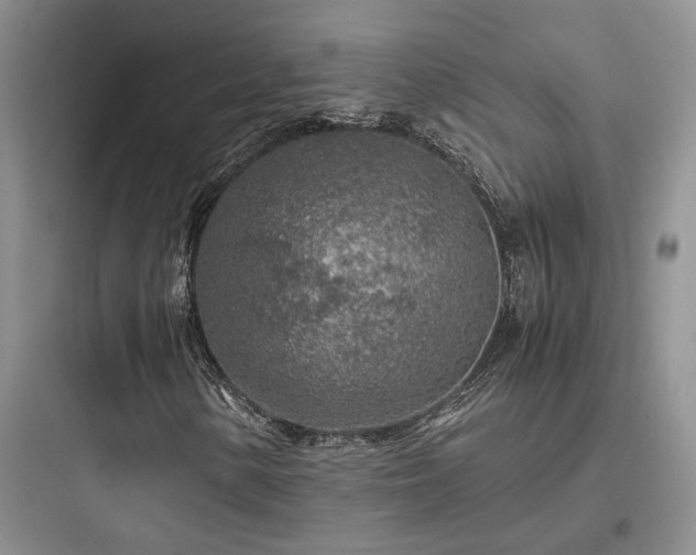 X0000097901154200803211435