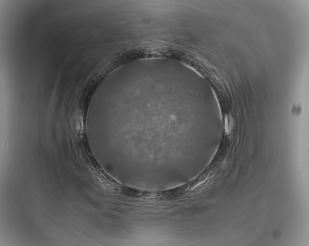 X0000097901155200803211435