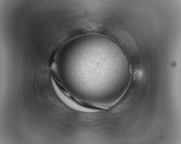 X0000097901156200803211435