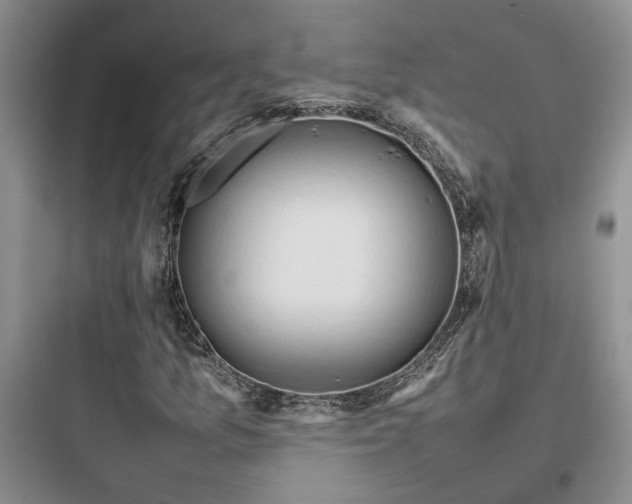 X0000097901157200803211435