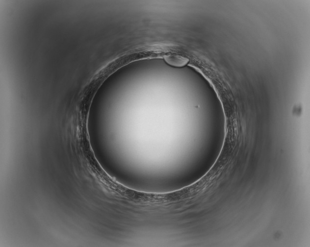 X0000097901158200803211435