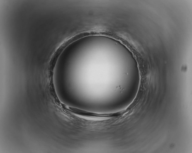 X0000097901160200803211435
