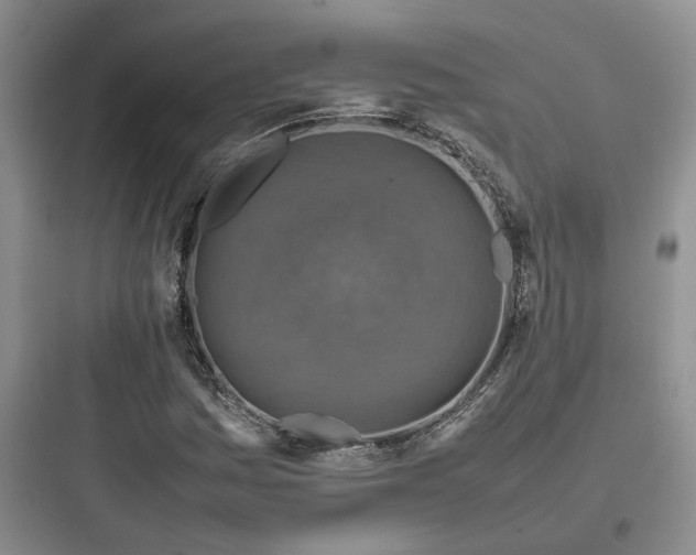 X0000097901161200803211435