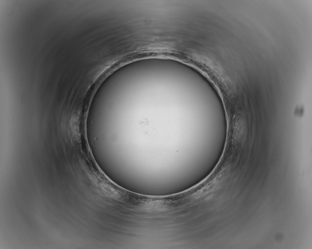 X0000097901162200803211435