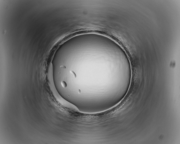 X0000097901163200803211434