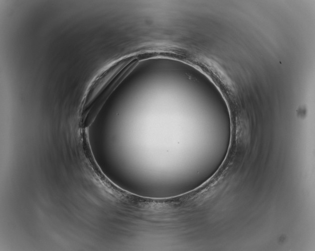 X0000097901164200803211434