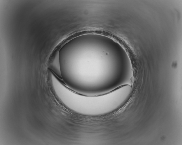 X0000097901165200803211434