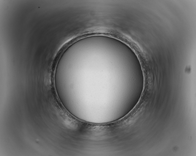 X0000097901166200803211434