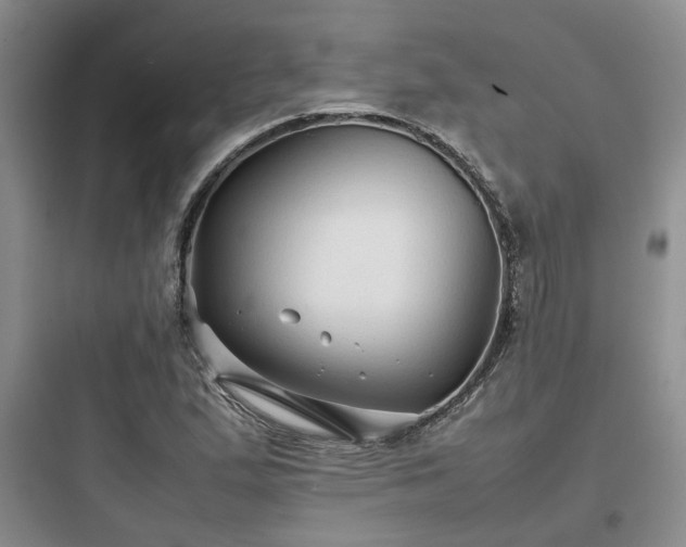 X0000097901167200803211434