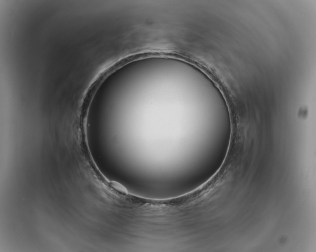 X0000097901168200803211434