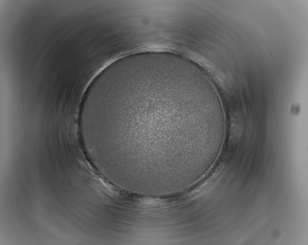 X0000097901170200803211434