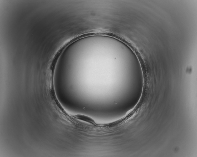 X0000097901171200803211434