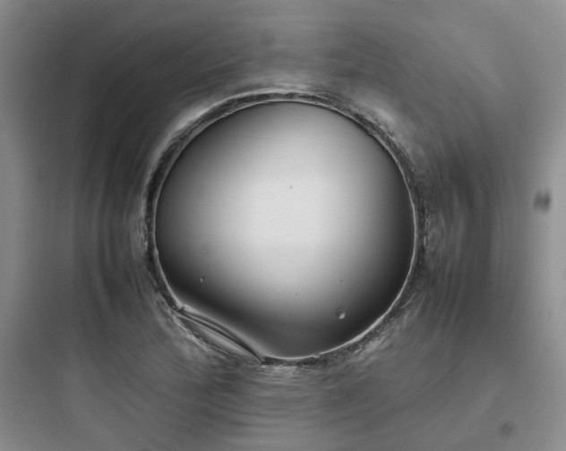 X0000097901172200803211434