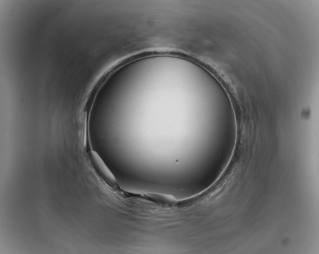 X0000097901175200803211434