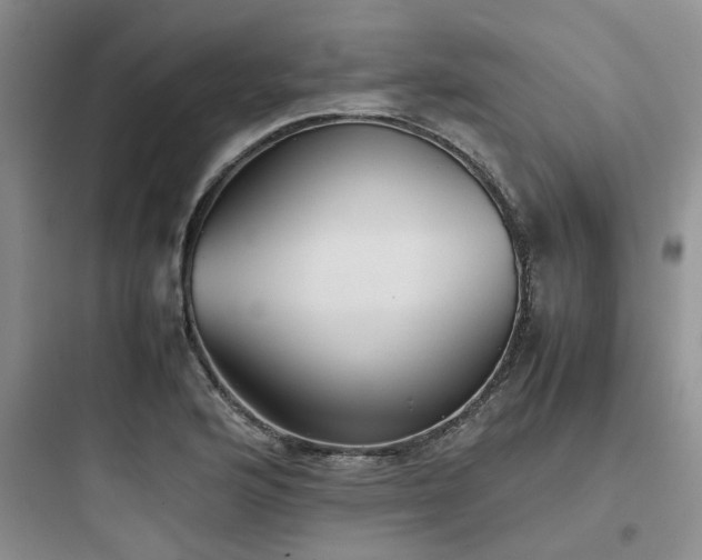 X0000097901176200803211434