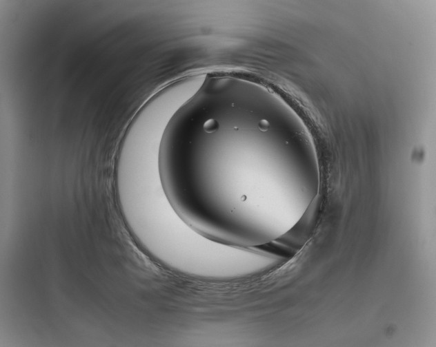 X0000097901177200803211434
