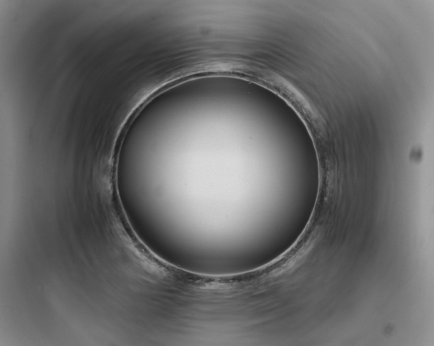 X0000097901178200803211434