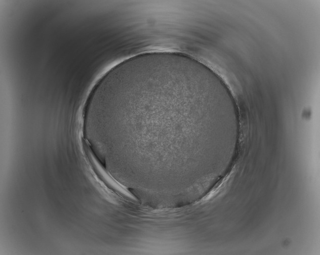X0000097901179200803211434