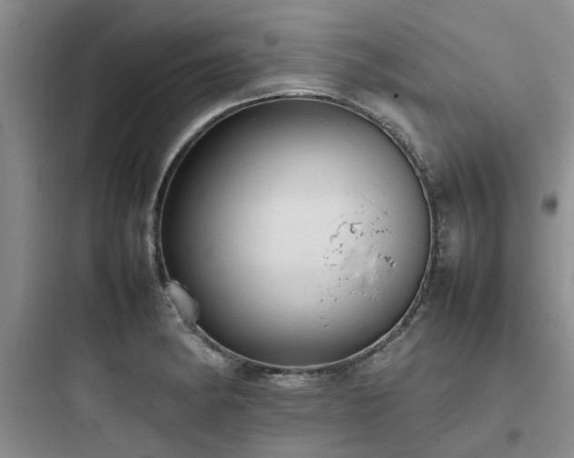 X0000097901182200803211434