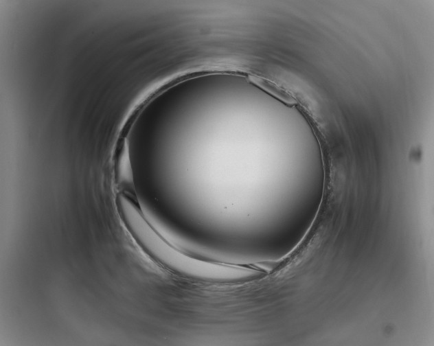 X0000097901184200803211434