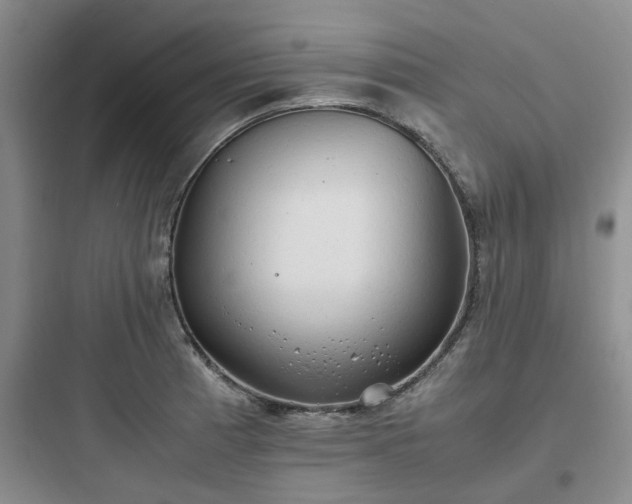 X0000097901185200803211434