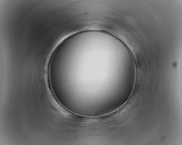 X0000097901187200803211434