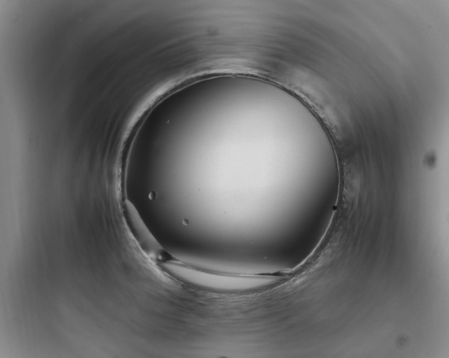 X0000097901188200803211434