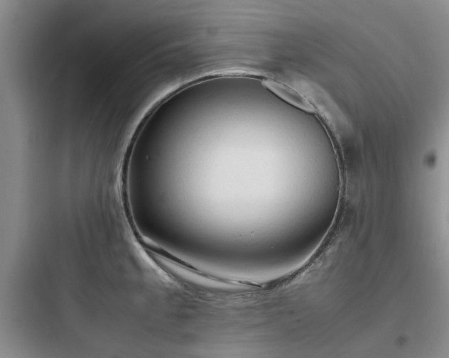 X0000097901189200803211434