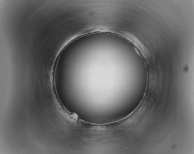 X0000097901190200803211434