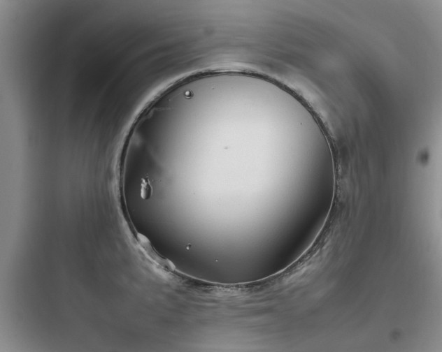 X0000097901191200803211434